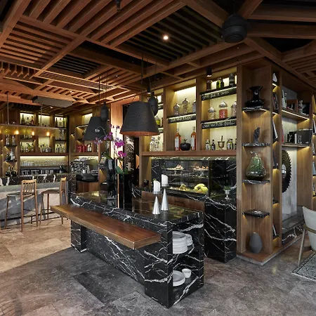伊斯坦布尔博斯普鲁斯盖齐酒店-设计酒店成员-特级 伊斯坦布尔